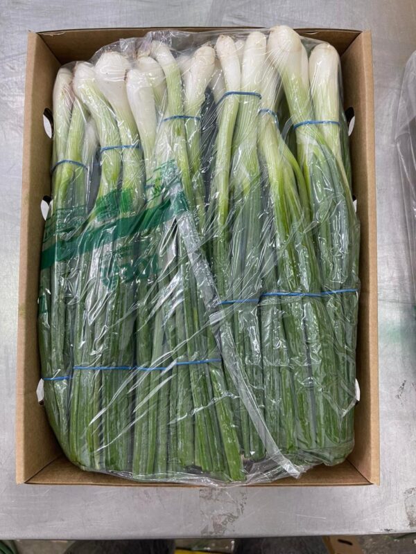 Zdjęcie WhatsApp 2024-02-23 o 14.16.53_e963b8cf